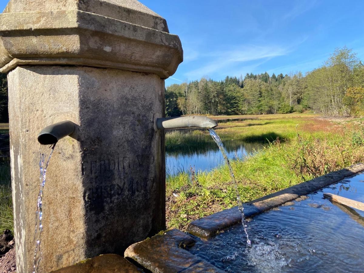 Gite Des Prary Des Mille Etangs Ternuay-Melay-et-Saint-Hilaire Eksteriør billede